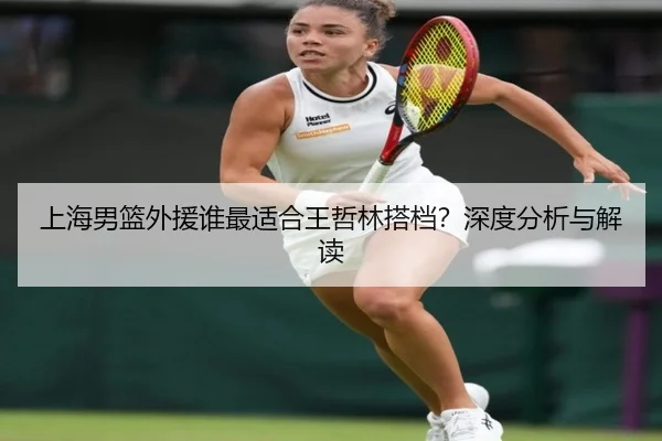 上海男篮外援谁最适合王哲林搭档？深度分析与解读