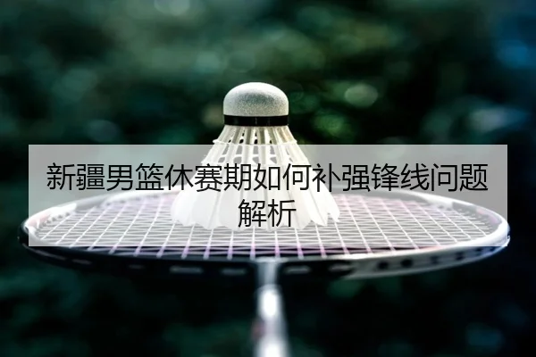 新疆男篮休赛期如何补强锋线问题解析
